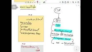 DNA structure part-1