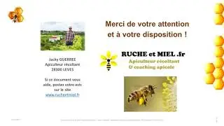 L'impact du frelon asiatique sur la biodiversit&eacute;