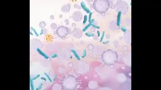 MOV DreamPrep NAP Demo Video