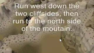 Runescape Aviansies Guide