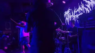 trucido Bryan Fajardo drum cam