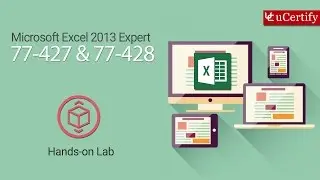 Microsoft Excel 2013 Expert Labs (77-427 & 77-428)