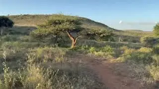Scenic Drive at Loisaba Conservancy | Northern Kenya Safari Views
