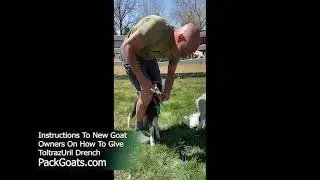 Instructions to New Goat Owners on How to Give ToltrazUril Drench