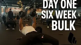 &bull; &ldquo;Starting My 6-Week Bulk &mdash; Watch This Body Transform&rdquo;