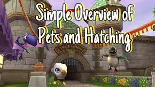 Simple Overview of Wizard101 Pets and Hatching