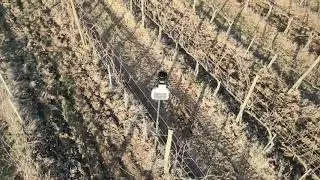 Davis Enviromonitor in vineyard (DJI Mavic Air 2)