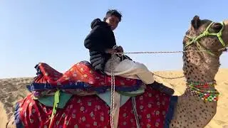 kamal safari इन sam jaislamar desart 