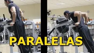 As Poderosas Paralelas (Tríceps ou Peitoral)  - Detonando em Cinesiologia