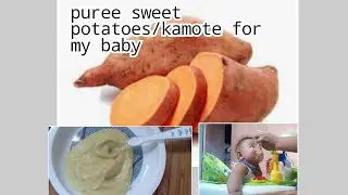 puree sweet potatoes/kamote// 6 to 12 months