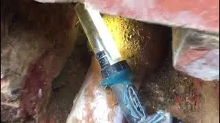 Thousands of pounds later and root cause of damp has been found