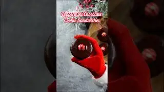 @AlecBenjaminMusic #DreamTrackAI Mrs. Claus Happy Workout Plan #HolidaysWithShorts #ShortsIRL