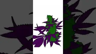 Digital Art - Cannabis