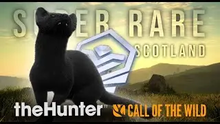 Я нашёл СУПЕР РЕДКУЮ КАРТУ в день выхода SCOTLAND! | Зов охотника в дикой природе
