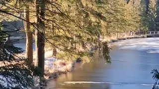 Фихтельзее.🌲🌞 Опять ярмарка ! Везде закрылись 