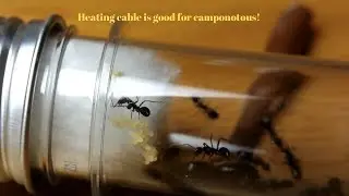 Heating Cable Experiment!