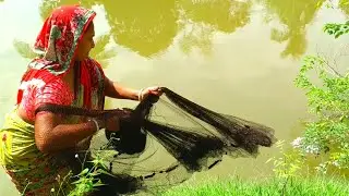Cast Net Fishing | Beautiful Village Woman Catching Fish With A Cast Net | Village Extra (Part-19)