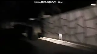 SSJ attacking salmon andy at the Streamer house