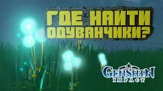 Где можно найти семена одуванчиков в Genshin Impact?
