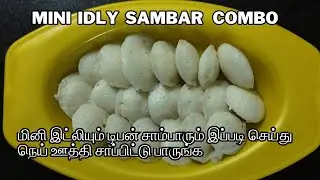 மினி இட்லி சாம்பார் | Mini Idli Sambar Recipe in Tamil|#miniidly