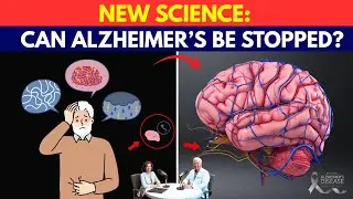 Can You Prevent Alzheimer&rsquo;s? New Research and Proven Habits for Seniors | Senior Brain Health Tips