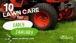 10 lawn care tips for early January