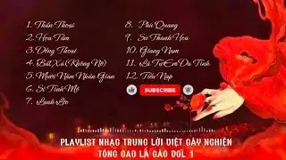 🎧 PLAYLIST NHẠC TRUNG LỜI VIỆT GÂY NGHIỆN – VOL.1 | Tông Cao Là Gào (AI Voice)