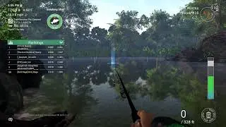 Fishing Planet : Rod Rage's Breaking Shad