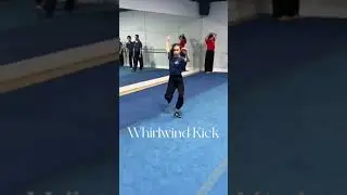 🌪Whirlwind Kicks🌪 #wushu #shorts #martialarts #kungfu