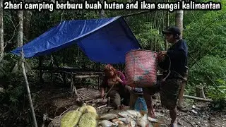 2 hari campin bersama istri berburu buah hutan and ikan sungai kalimantan