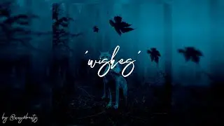 FREE Guitar / Piano Vocal Sample Pack/ Loop Kit 🎸 (Toosii, Rod Wave, Polo G) - &lsquo;&rsquo;Wishes&rsquo;&rsquo;