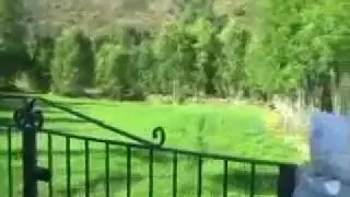 Torrecillo