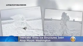 'Intricate' Rime Ice Structures Seen Atop Mount Washington