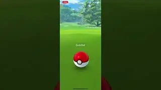 Hoppip Community Day 2022!