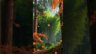 &ldquo;Whispering Dreams Khim Echo &ndash; Echoed Piano & Khim Sleep Atmosphere&rdquo;