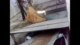 Grain Handling Trough Belt Conveyor by Precesion Conveyor Systems