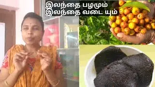 Elantha palam benefits/Jujube fruit benefits/Elantha vadai recipe in tamil/