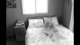 How to Capture Poltergeists from Skinwalker Ranch Using the &lsquo;Hitchhiker Effect&rsquo; | Step-by-Step Guide