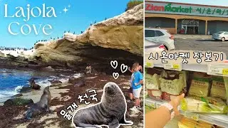 은퇴후 살고싶은 도시로 뽑힌 샌디에고?! 그 이유를 찾아 노동절날 한번 다녀 봤어요🦭