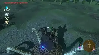 I Landed on a Guardian Stalker in BotW