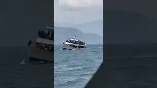 👆Goa accident 23 bodies recovered 40 people rescued  64 missing Greed of the boat owner  overloading