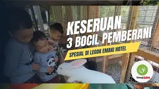 Hotel atau Kebun Binatang? Why Not Both?