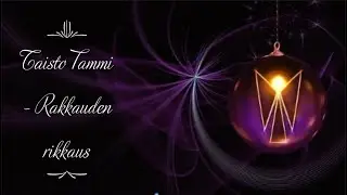 Taisto Tammi - Rakkauden rikkaus (sanat)