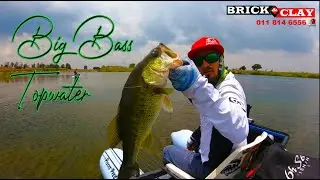 BIG BASS on top water off the kickboats.