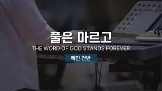 GIFTED X 한밤의 프레이즈 | 풀은 마르고 | THE WORD OF GOD STANDS FOREVER | 메인건반