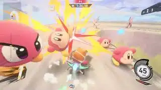 Slow Motion Hamster Finish Line Action!