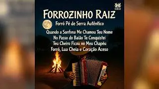 forrozinho pe de serra raiz curtem