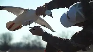 Совет по настройке Clone Snow Goose и Persuader