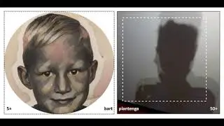 Visual Distractions: 2020 / bart plantenga