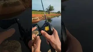 belajar reel pancing tipe bc #mancingcasting #tipsmancing #tutorialmancing